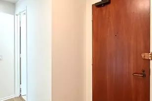 480 N McClurg Ct, Chicago, IL 60611 - Photo 25