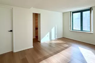 480 N McClurg Ct, Chicago, IL 60611 - Photo 15