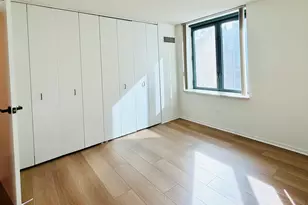 480 N McClurg Ct, Chicago, IL 60611 - Photo 21