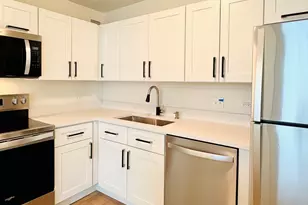 480 N McClurg Ct, Chicago, IL 60611 - Photo 11