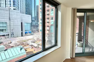 480 N McClurg Ct, Chicago, IL 60611 - Photo 5