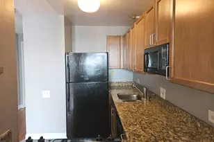 474 N Lake Shore Dr, Chicago, IL 60611 - Photo 9