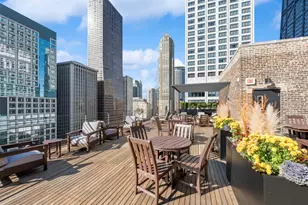 210 E Pearson St, Chicago, IL 60611 - Photo 21