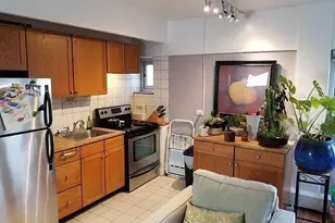 4970 N Marine Dr, Chicago, IL 60640 - Photo 5