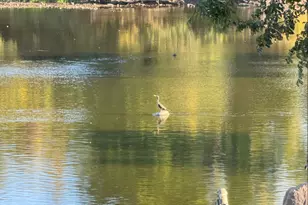 114 Riverview Ct, Oswego, IL 60543 - Photo 45