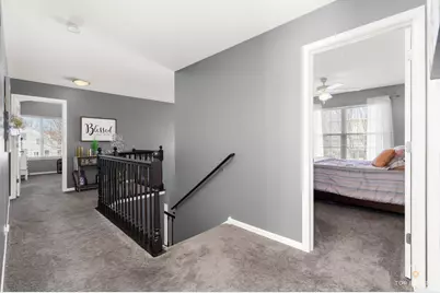 25267 Trelliage Avenue, Plainfield, IL 60585 - Photo 19