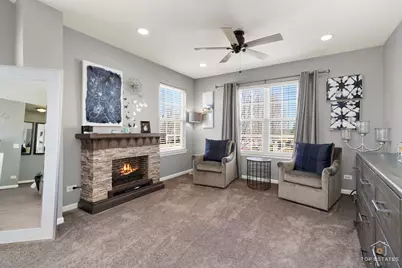 25267 Trelliage Avenue, Plainfield, IL 60585 - Photo 21