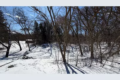 Lot 1 Asbury Avenue, Fox River Grove, IL 60021 - Photo 3