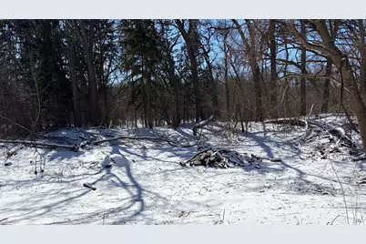 Lot 2 Asbury Avenue, Fox River Grove, IL 60021 - Photo 5