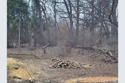 Lot 2 Asbury Avenue, Fox River Grove, IL 60021 - Photo 1