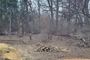 Lot 2 Asbury Ave, Fox River Grove, IL 60021 - Photo 1