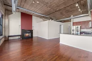 1151 W 14th Pl, Chicago, IL 60608 - Photo 17