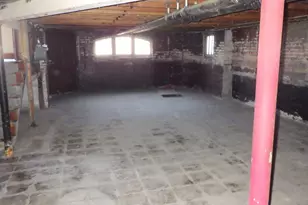 8241 S Clyde Ave, Chicago, IL 60617 - Photo 9