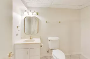 6240 Sleepy Hollow Ln, Lisle, IL 60532 - Photo 53