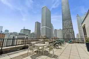 253 E Delaware Pl, Chicago, IL 60611 - Photo 11