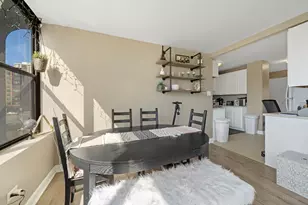 345 E Eastgate Pl, Chicago, IL 60616 - Photo 9