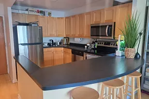 211 E Ohio St, Chicago, IL 60611 - Photo 3