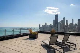 1440 N Lake Shore Dr, Chicago, IL 60610 - Photo 13