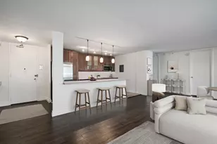 910 N Lake Shore Dr, Chicago, IL 60611 - Photo 11