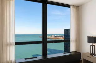 910 N Lake Shore Dr, Chicago, IL 60611 - Photo 21