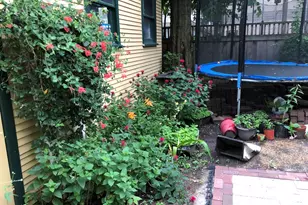 704 S Elmwood Ave, Oak Park, IL 60304 - Photo 63