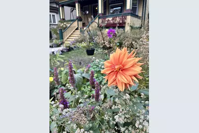 704 S Elmwood Avenue, Oak Park, IL 60304 - Photo 67