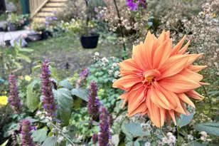 704 S Elmwood Ave, Oak Park, IL 60304 - Photo 67