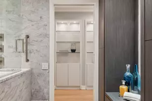 161 E Chicago Ave, Chicago, IL 60611 - Photo 15