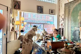 1412 W 18th St, Chicago, IL 60608 - Photo 3