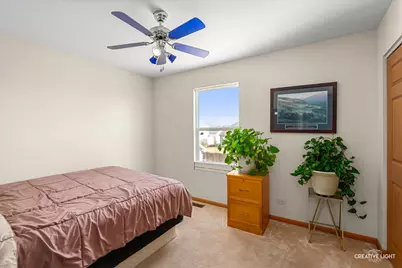 24336 W Apple Tree Lane, Plainfield, IL 60585 - Photo 23