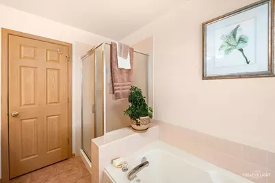 24336 W Apple Tree Lane, Plainfield, IL 60585 - Photo 21