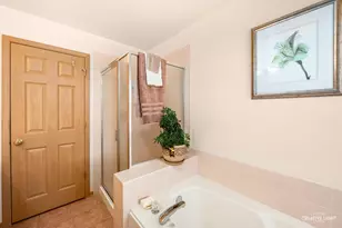 24336 W Apple Tree Ln, Plainfield, IL 60585 - Photo 21