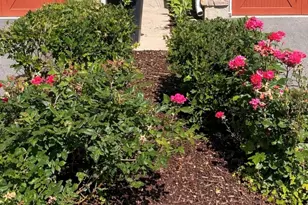 21889 W Talia Ln, Deer Park, IL 60010 - Photo 33