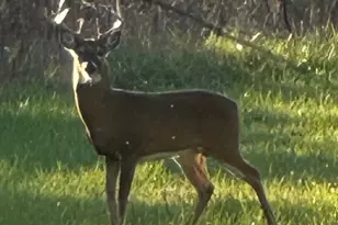 2651 N 45th Rd, Sandwich, IL 60548 - Photo 35