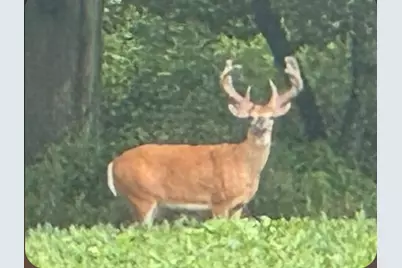 2651 N 45th. Road, Sandwich, IL 60548 - Photo 33