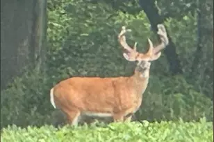 2651 N 45th Rd, Sandwich, IL 60548 - Photo 33