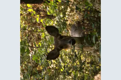 2651 N 45th. Road, Sandwich, IL 60548 - Photo 29