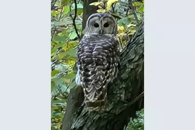 2651 N 45th. Road, Sandwich, IL 60548 - Photo 31