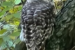 2651 N 45th Rd, Sandwich, IL 60548 - Photo 31