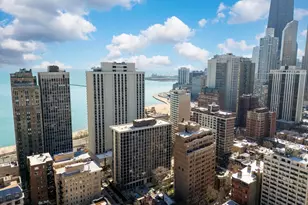 1210 N Astor St, Chicago, IL 60610 - Photo 43