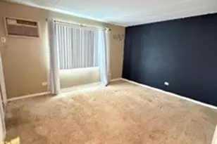 18205 Morgan St, Homewood, IL 60430 - Photo 9