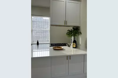 543 E 60th Street #4, Chicago, IL 60637 - Photo 9