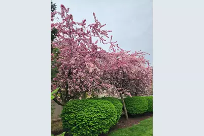 263 Lillian Court, Geneva, IL 60134 - Photo 27