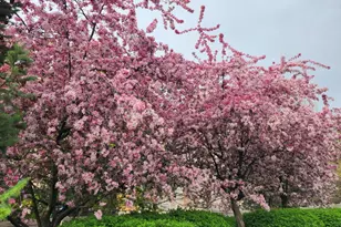 263 Lillian Ct, Geneva, IL 60134 - Photo 27