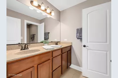 229 Grant Street, Downers Grove, IL 60515 - Photo 21