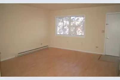 321 S Jefferson Street #0, Woodstock, IL 60098 - Photo 11