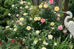 590 Brentwood Rd, Machesney Park, IL 61115 - Photo 51