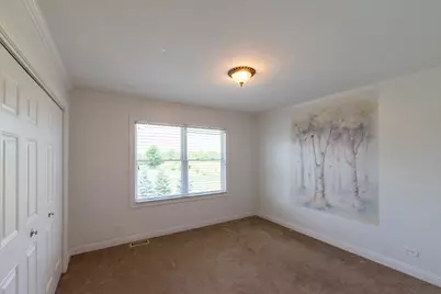 3822 Magnolia Drive, Spring Grove, IL 60081 - Photo 23