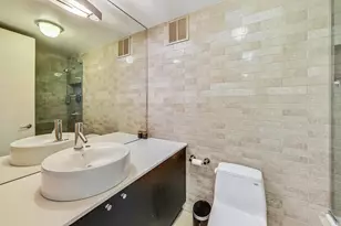 505 N Lake Shore Dr, Chicago, IL 60611 - Photo 47