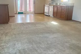 667 Aspen Dr, Manteno, IL 60950 - Photo 9